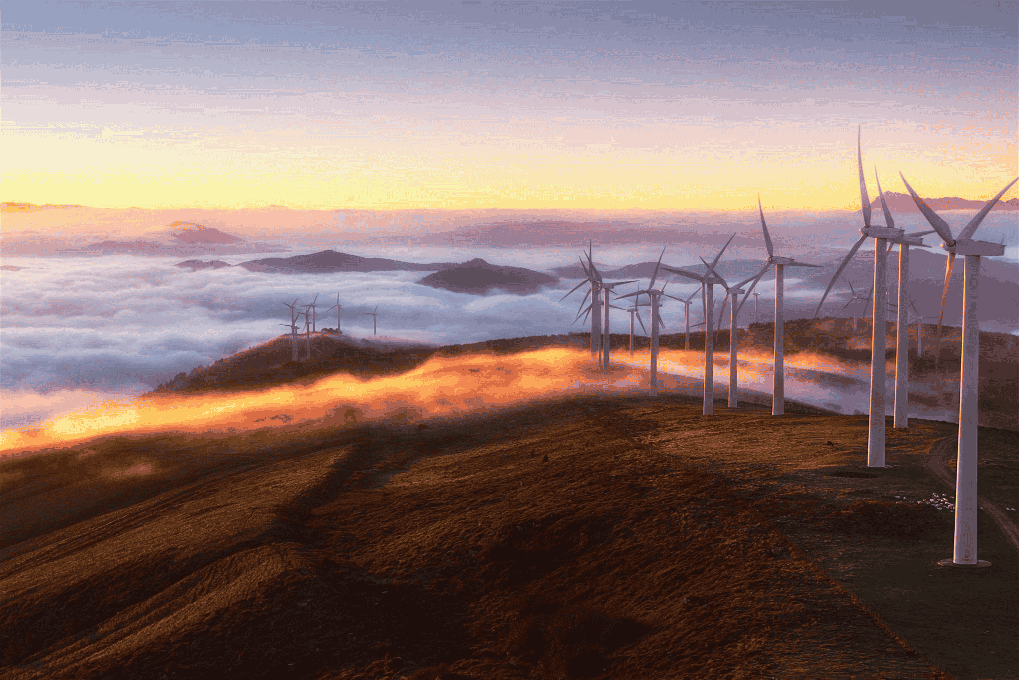 Windpark bei Sonnenaufgang