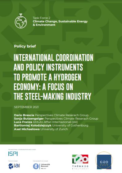 International coordination and policy instruments to promote a hydrogen economy: a focus on the steel-making industry
