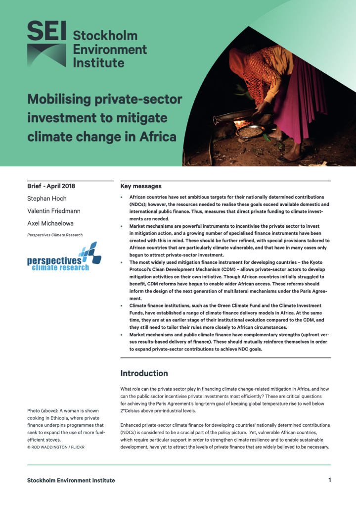 Mobilising private-sector investment to mitigate climate change in Africa