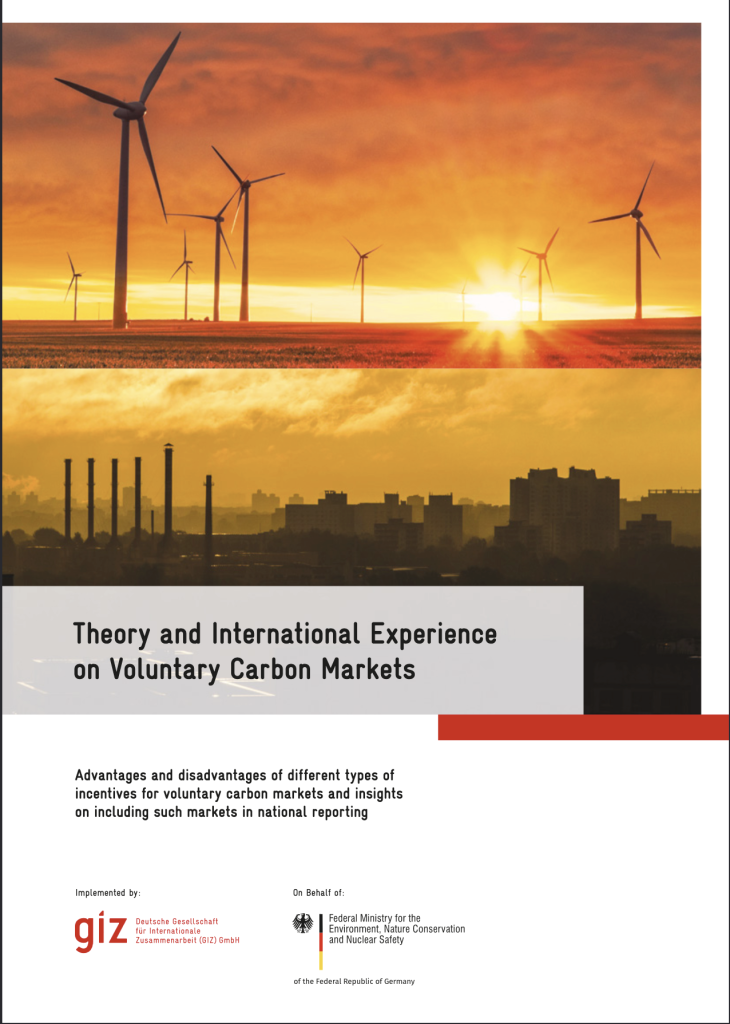 Theory and International Experience on Voluntary Carbon Markets