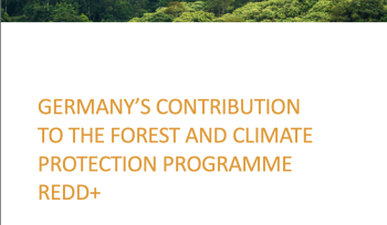 Germany’s contribution to the forest and climate protection programme REDD+