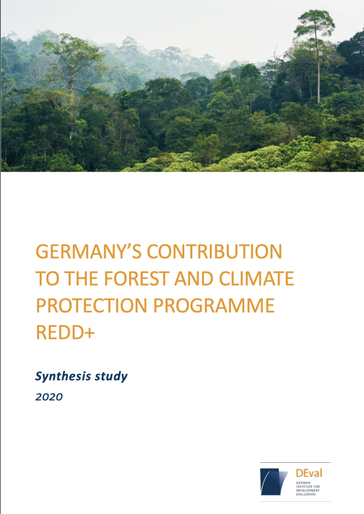 Germany’s contribution to the forest and climate protection programme REDD+